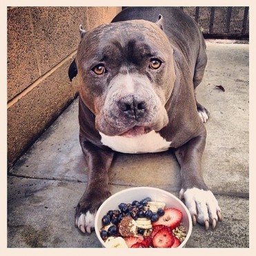 Guarding delicious. Have your acai bowl images tell a story to be most interesting. 