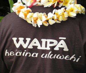 Tambor Acai giving to the community of Kauai.