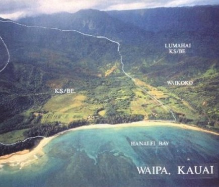 Tambor Acai supports the Waipa Foundation on Kauai